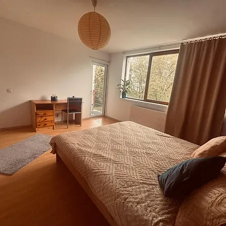 Liniste Confort Si Acces Rapid In Oras Parcare * Kluž