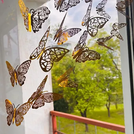 Liniste Confort Si Acces Rapid In Oras Parcare *