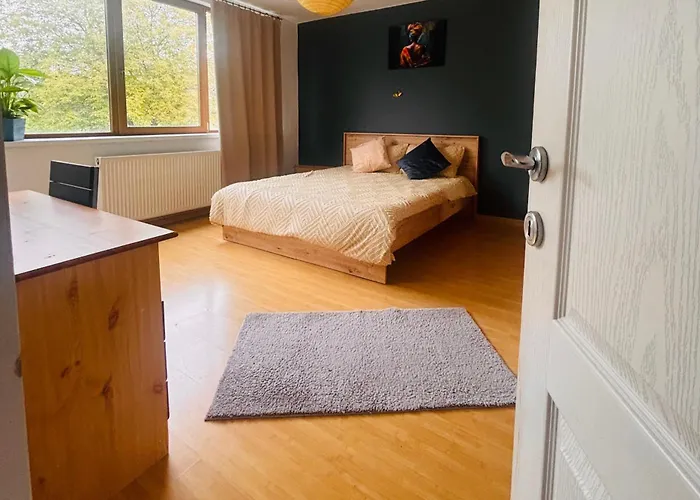 Liniste Confort Si Acces Rapid In Oras Parcare Kluž