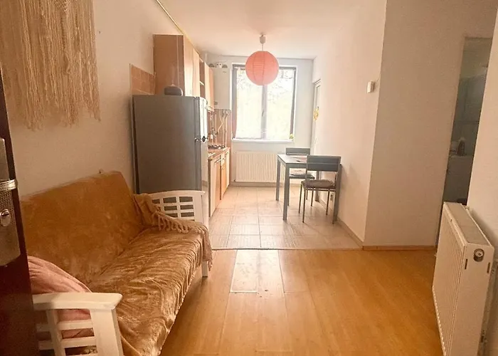 Liniste Confort Si Acces Rapid In Oras Parcare *